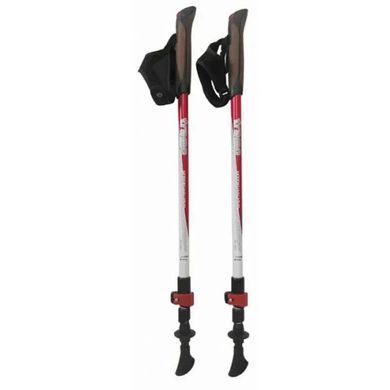 Палки для скандинавськой ходьби Tramp Compact параа