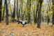 Гамак Tribe Hammock T-LE-0002 green